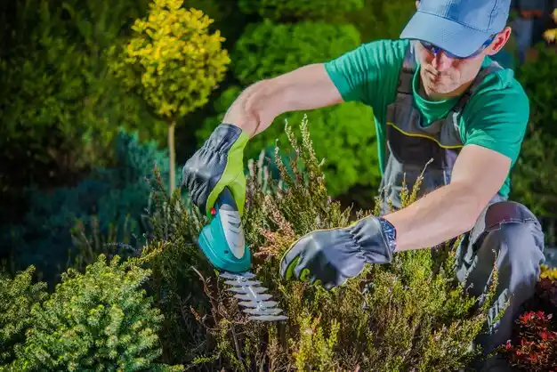 landscaping services Fennville